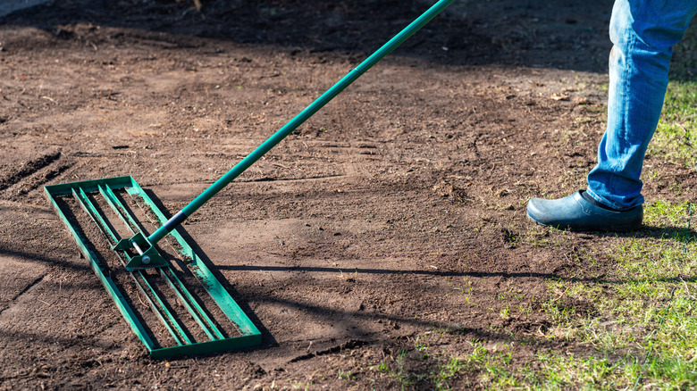 A person using a lawn leveling rake to smooth topsoil