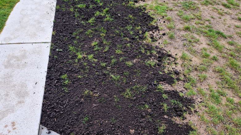An image of a yard as top dressing is applied creating a more level surface