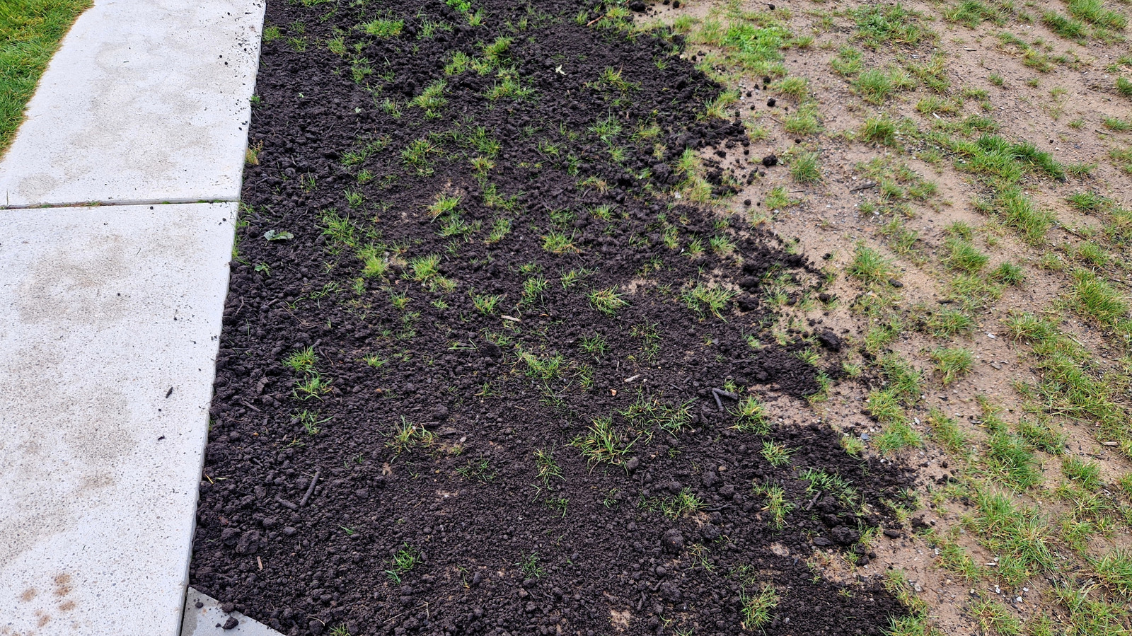 This Simple Tool Can Keep Your Lawn Level Without Breaking The Bank