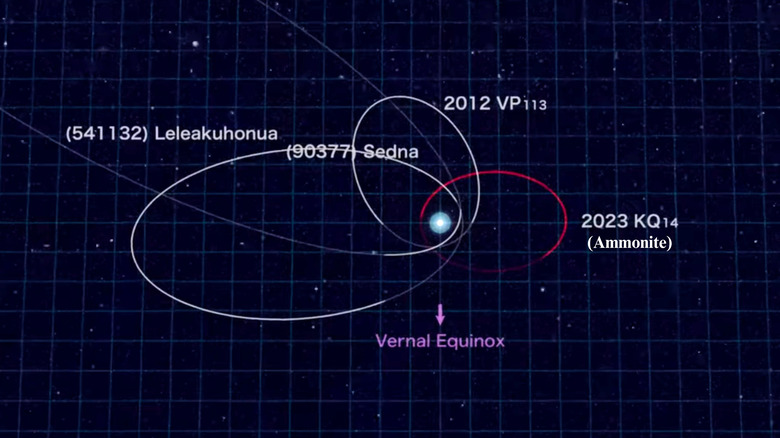 Visual representation of Ammonite's orbit around the sun in comparison to other sednoids