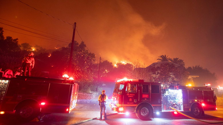 Firefighters battle to tackle a wildfire.