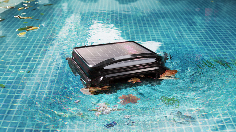 WYBOT F1 gathering leaves in a pool