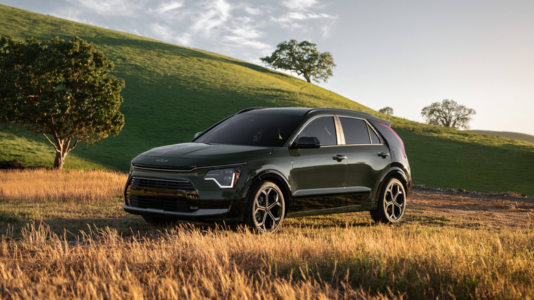 The 2026 Kia Niro photographed on a grassland