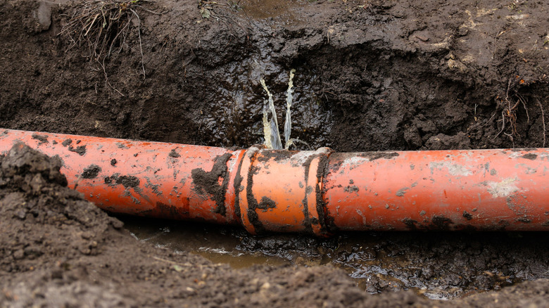 A close-up shot of a leaking underground pipe