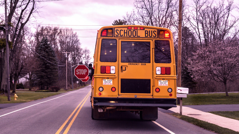View from behind a stopped school bus with flashing red warning lights and outstretched stop signs on a rural residential road.