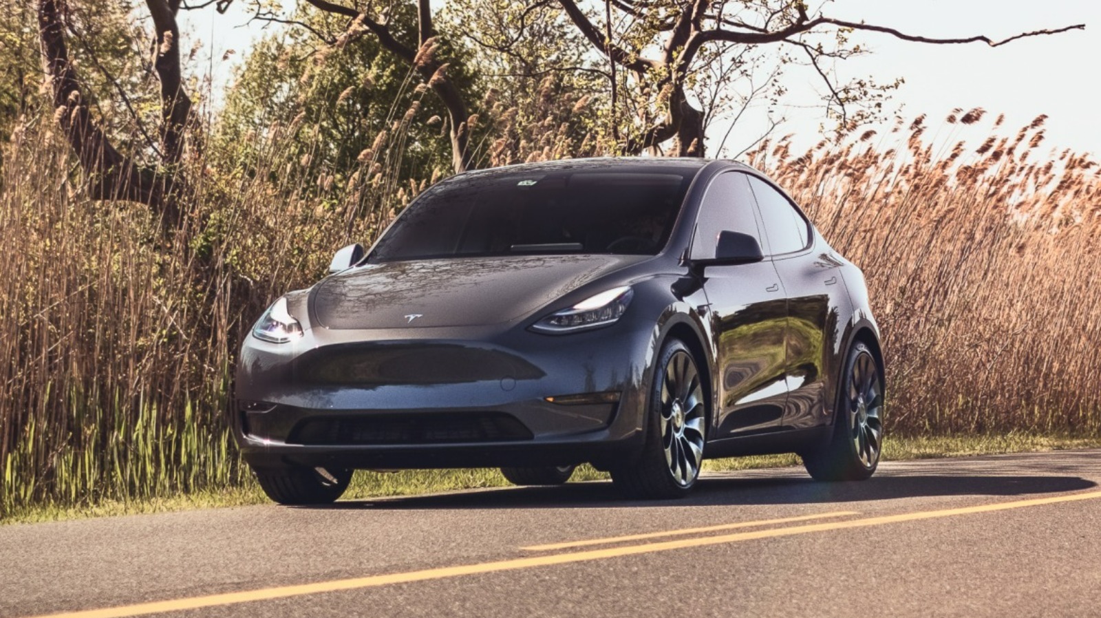 This Tesla Hack Unlocks A Model Y