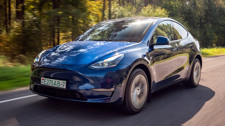 Model Y driving next to forest