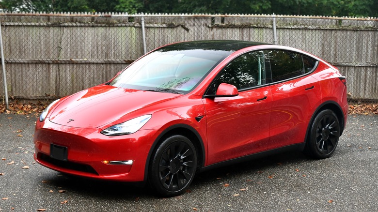 red model y