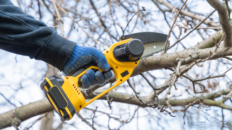 A person uses a mini chainsaw on a tree branch