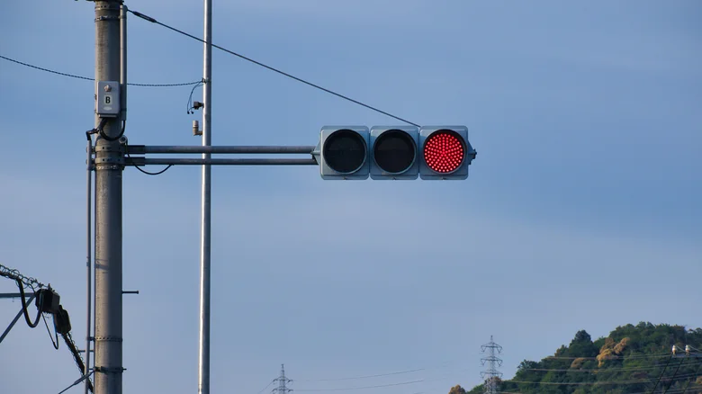 This Traffic Light In Japan Only Turns Green Once A Year
