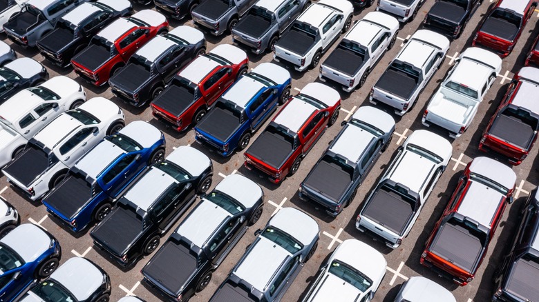 Rows of brand new pickup trucks
