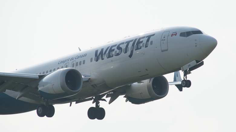 WestJet plane with landing gear down