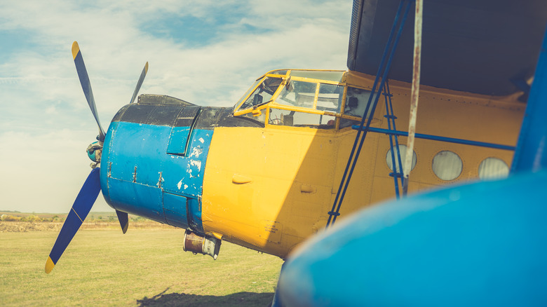 blue yellow painted AN-2