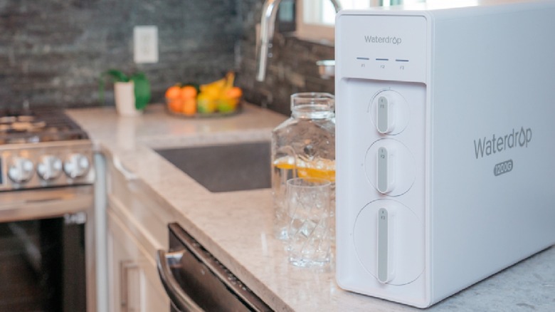 Waterdrop X12 on kitchen counter near sink