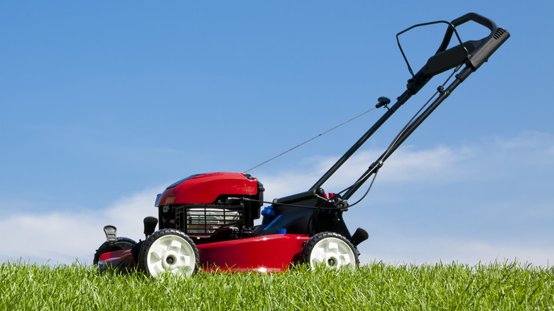 red lawnmower on grass