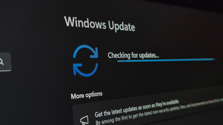 Close up image of Windows update Screen on a windows 11 device