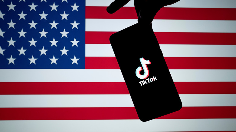 TikTok app smartphone american flag