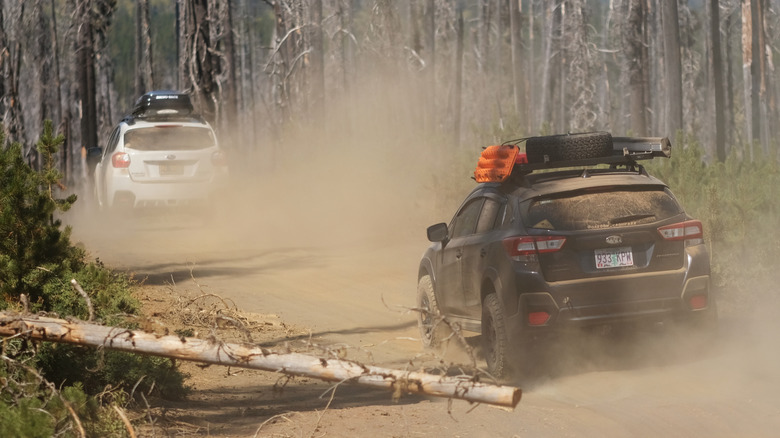 Rear view of Subaru Crosstreks on off-road trail.