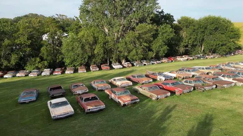 Aerial view of vintage Chevrolets parked in a field