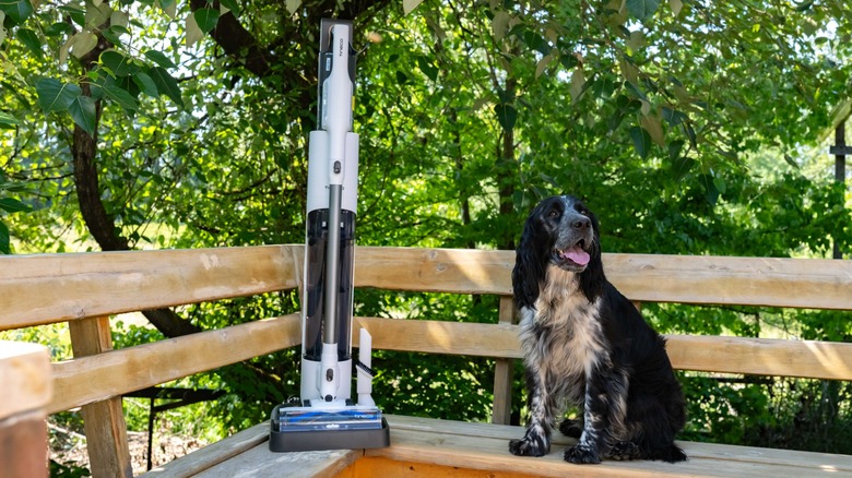 The Tineco Pure One Station 5 on a porch bench next to a springer spaniel.