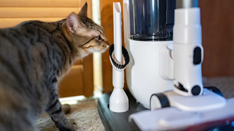 The Tineco Pure One Station 5 being sniffed by a cat.
