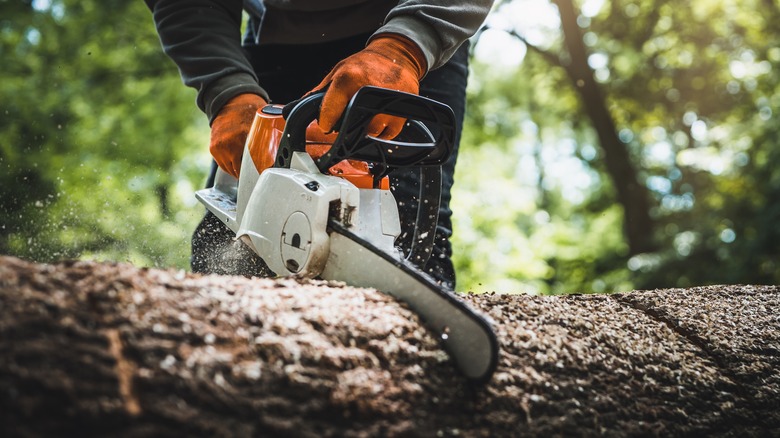 A Chainsaw Cutting Into A Wooden Log