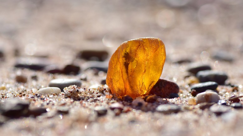 amber nugget on a shore