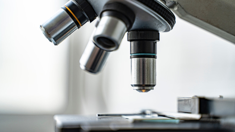 close up microscope stage