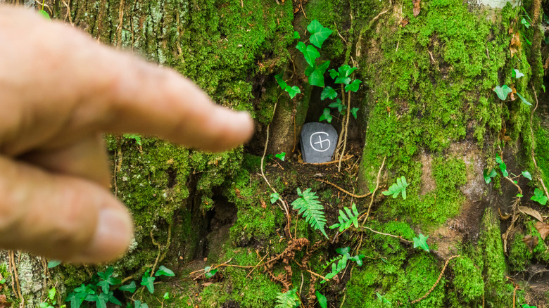 finger pointing geocache tree