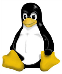 Linux Penguin