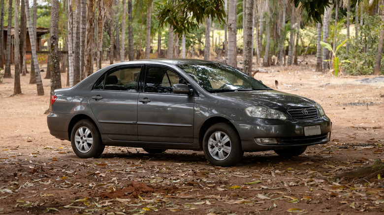 A black Toyota Corolla parked in the woods