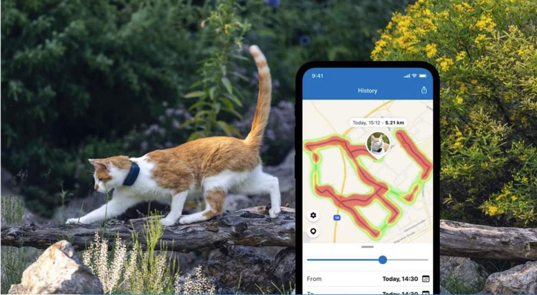 Tractive GPS Cat LTE Tracker