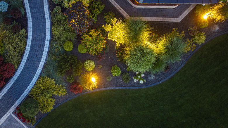 an elegant landscaping job in evening light