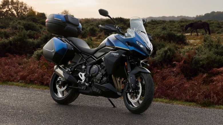 The 2026 Triumph Tiger Sport 800 Tourin blue over black livery.