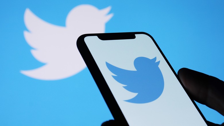 Twitter app logo phone screen