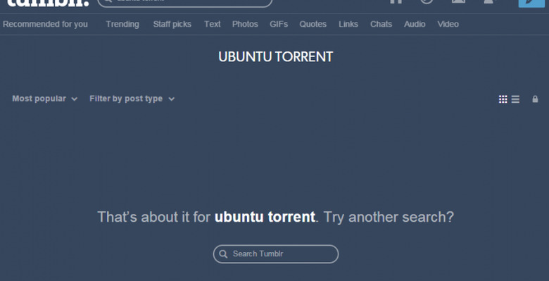 Tumblr begins filtering 'torrent' searches, tags