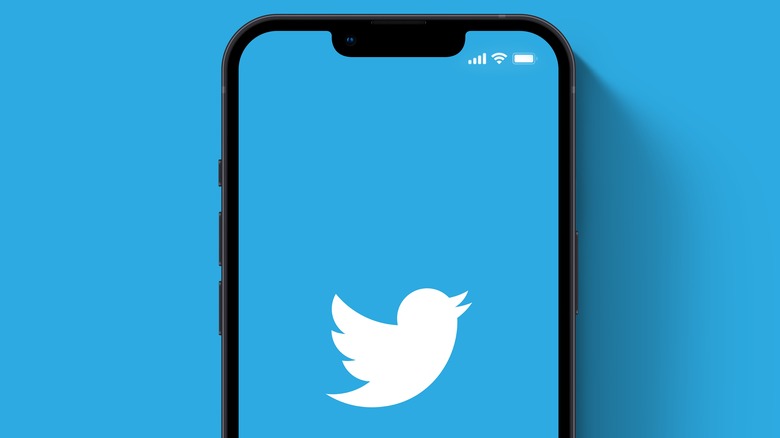 Twitter blue smartphone