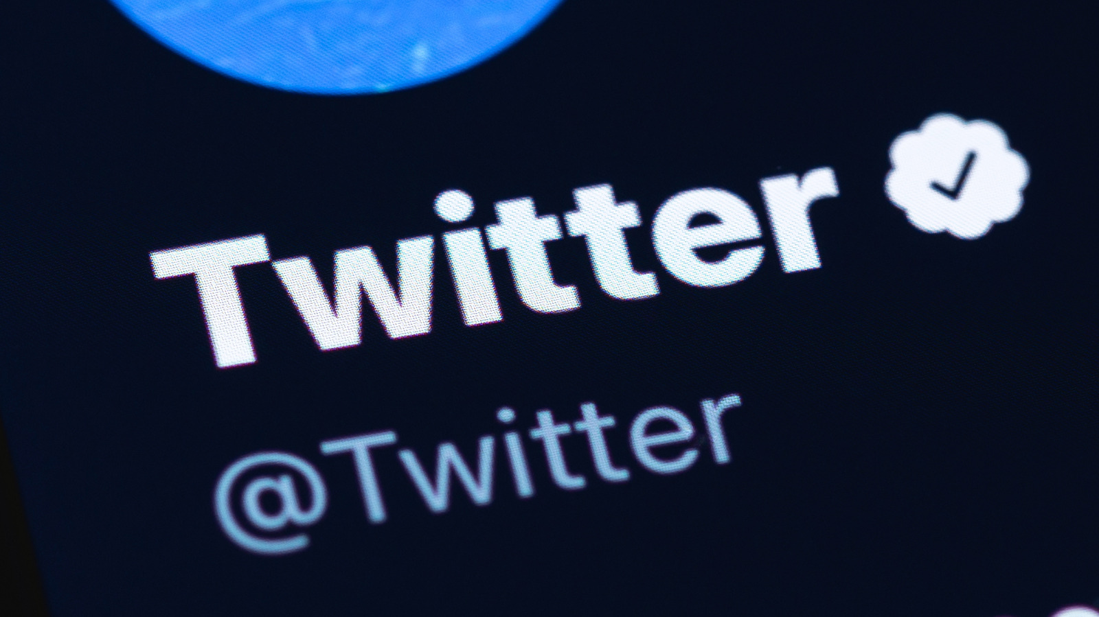 Twitter Could Charge For Verified Accounts As Elon Musk Hunts Profits