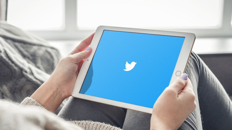 Twitter on ipad