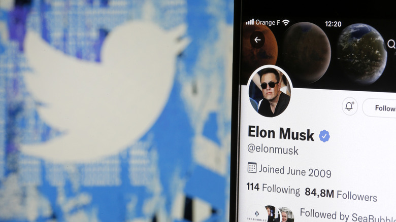 Elon Musk's Twitter profile.