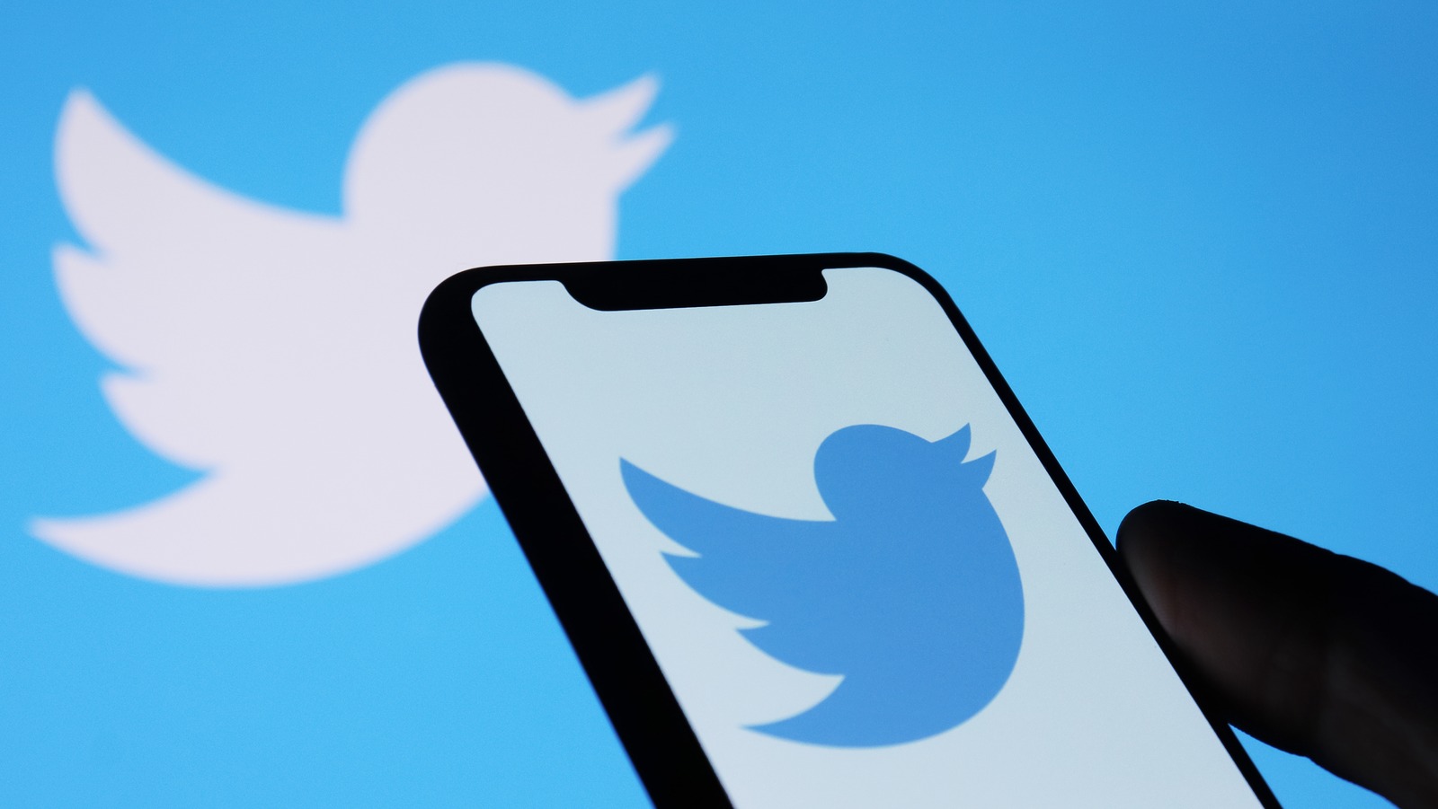 Twitter finalmente lança duas importantes melhorias de acessibilidade