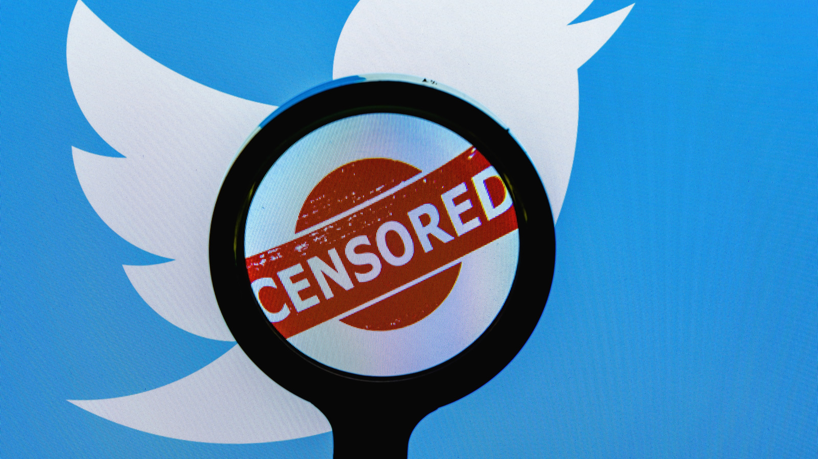 Twitter Has Removed More Than 1 500 Accounts As It Combats Surge In twitter-has-removed-more-than-1-500-accounts-as-it-combats-surge-in