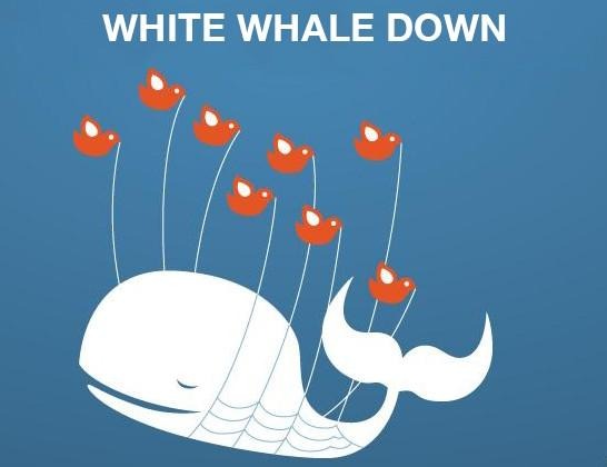whitewhale