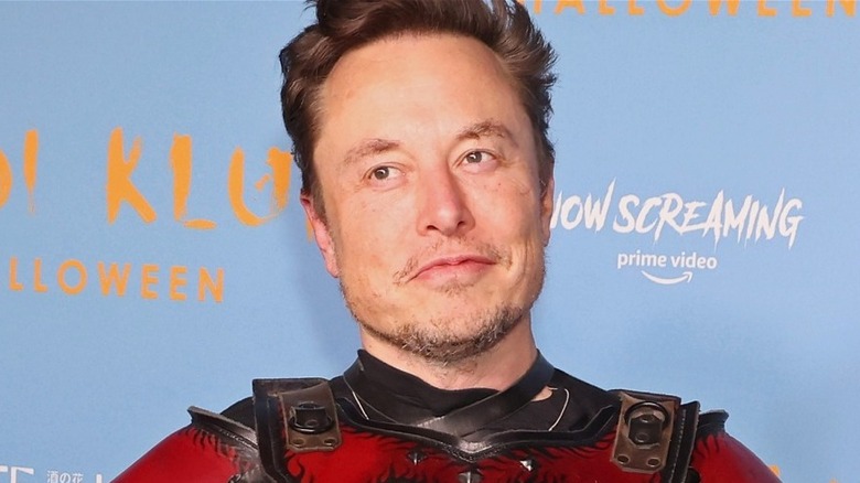 Elon Musk posing in costume
