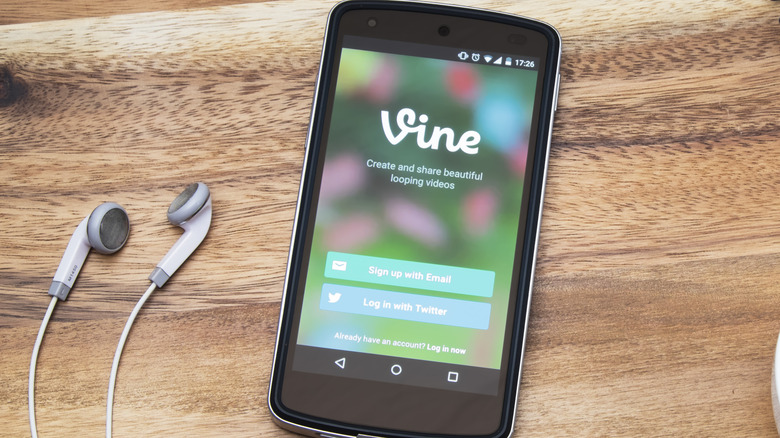 Vine app's splash screen 