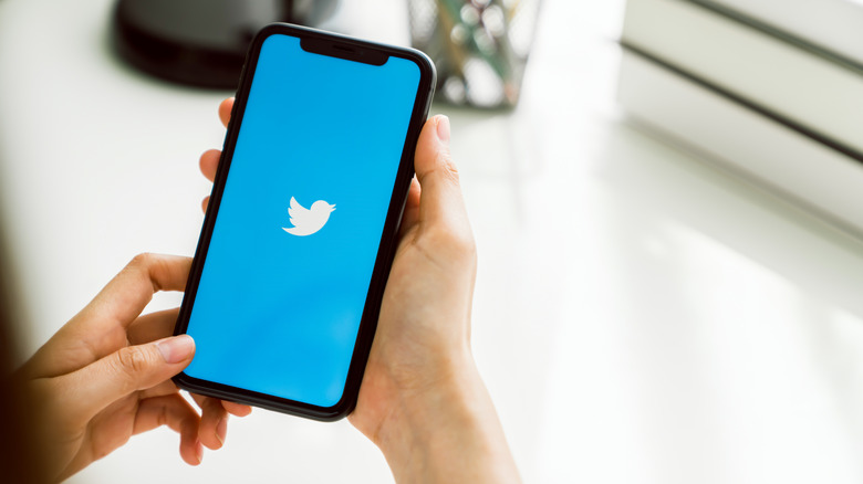 Person holding iPhone with Twitter logo on display