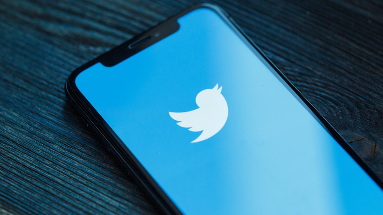 Twitter logo displayed on iPhone