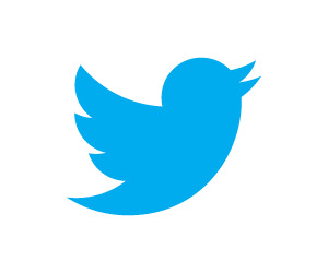 Twitter bird