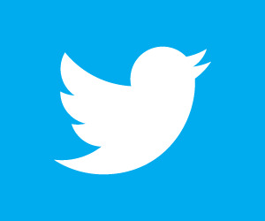 twitter-bird-white-on-blue