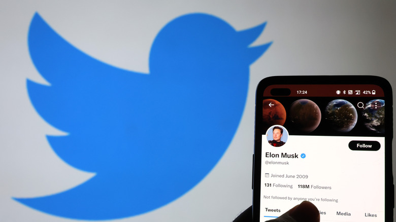 Elon Musk's Twitter profile 